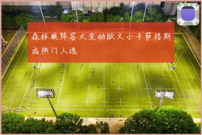 森林狼阵容大变动欧文小卡萨格斯成热门人选